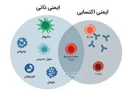 پاورپوینت ساختار و اجزایی سیستم ایمنی